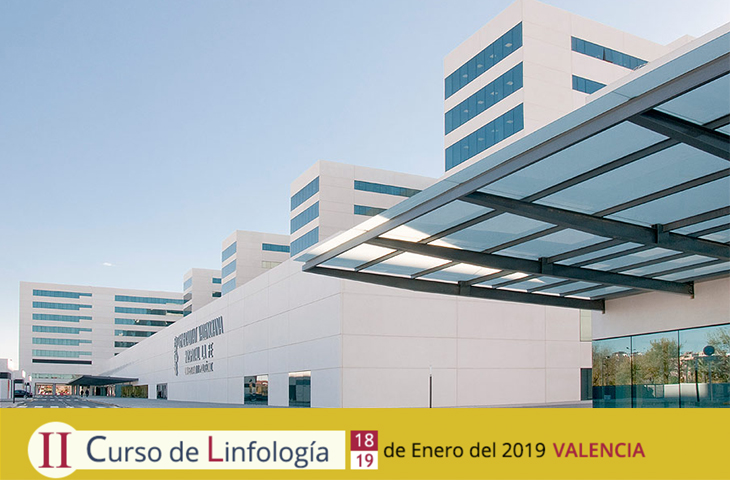 La Fe de Valencia acogerá el II Curso de Linfología los próximos 18 y 19 de enero de 2019 La Fe de Valencia acogerá el II Curso de Linfología los próximos 18 y 19 de enero de 2019