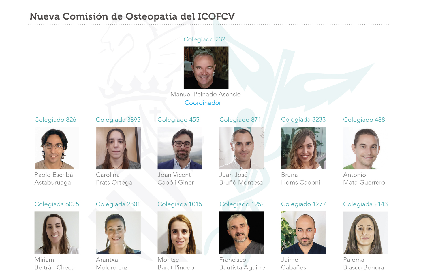 Nueva Comisión de Osteopatía del ICOFCV | Ilustre Colegio Oficial de  Fisioterapeutas de la Comunidad Valenciana