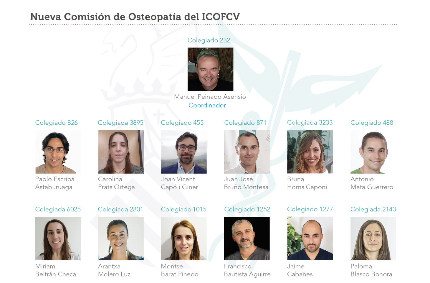 Nueva Comisión de Osteopatía del ICOFCV Nueva Comisión de Osteopatía del ICOFCV