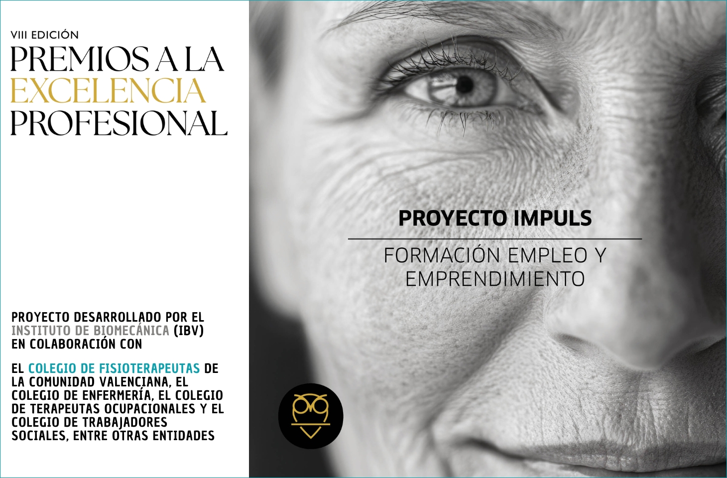 La Unión Profesional de Valencia premia al proyecto IMPULS, en el que participa el ICOFCV, en los VIII Premios a la Excelencia Profesional La Unión Profesional de Valencia premia al proyecto IMPULS, en el que participa el ICOFCV, en los VIII Premios a la Excelencia Profesional