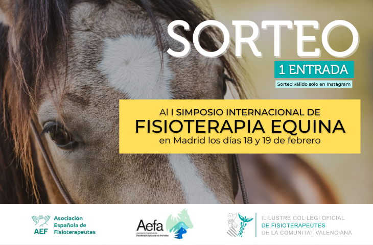 Nuevo Sorteo para colegiados: 1 inscripción gratuita para el I Simposio Internacional de Fisioterapia y Rehabilitación Equina. ¡Participa!