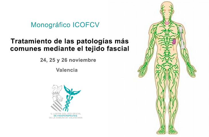 Próximo monográfico del ICOFCV, “Tratamiento de las patologías más comunes mediante el tejido fascial” Próximo monográfico del ICOFCV, “Tratamiento de las patologías más comunes mediante el tejido fascial”
