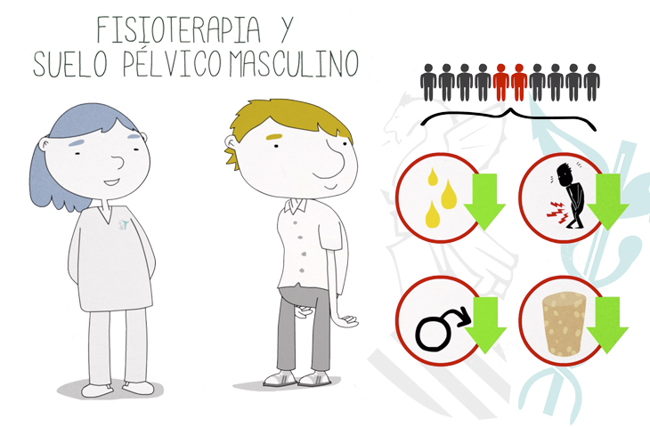 El 20% de los hombres padecen afecciones en el suelo pélvico que pueden mejorar con Fisioterapia El 20% de los hombres padecen afecciones en el suelo pélvico que pueden mejorar con Fisioterapia