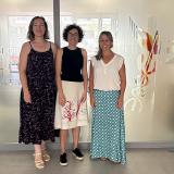 Reunión de trabajo del ICOFCV y la Red Sanitaria Solidaria de Castellón 