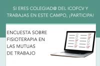 Encuesta sobre las Unidades de Fisioterapia en las Mutuas de Accidentes de Trabajo.  ICOFCV