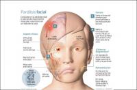 La labor del fisioterapeuta es fundamental en la recuperación de la función facial tras una parálisis vía LaRazon.es