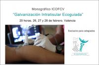 Primer monográfico del ICOFCV: "Galvanización Intratisular Ecoguiada" del 26 al 28 de febrero